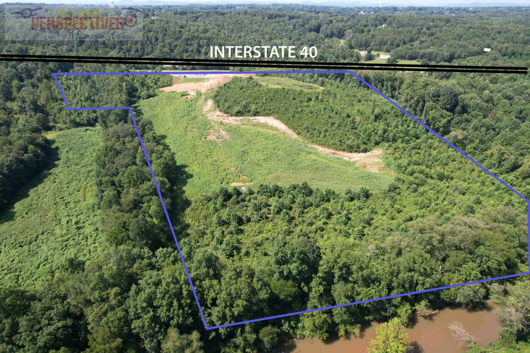 An aerial view of a forest.