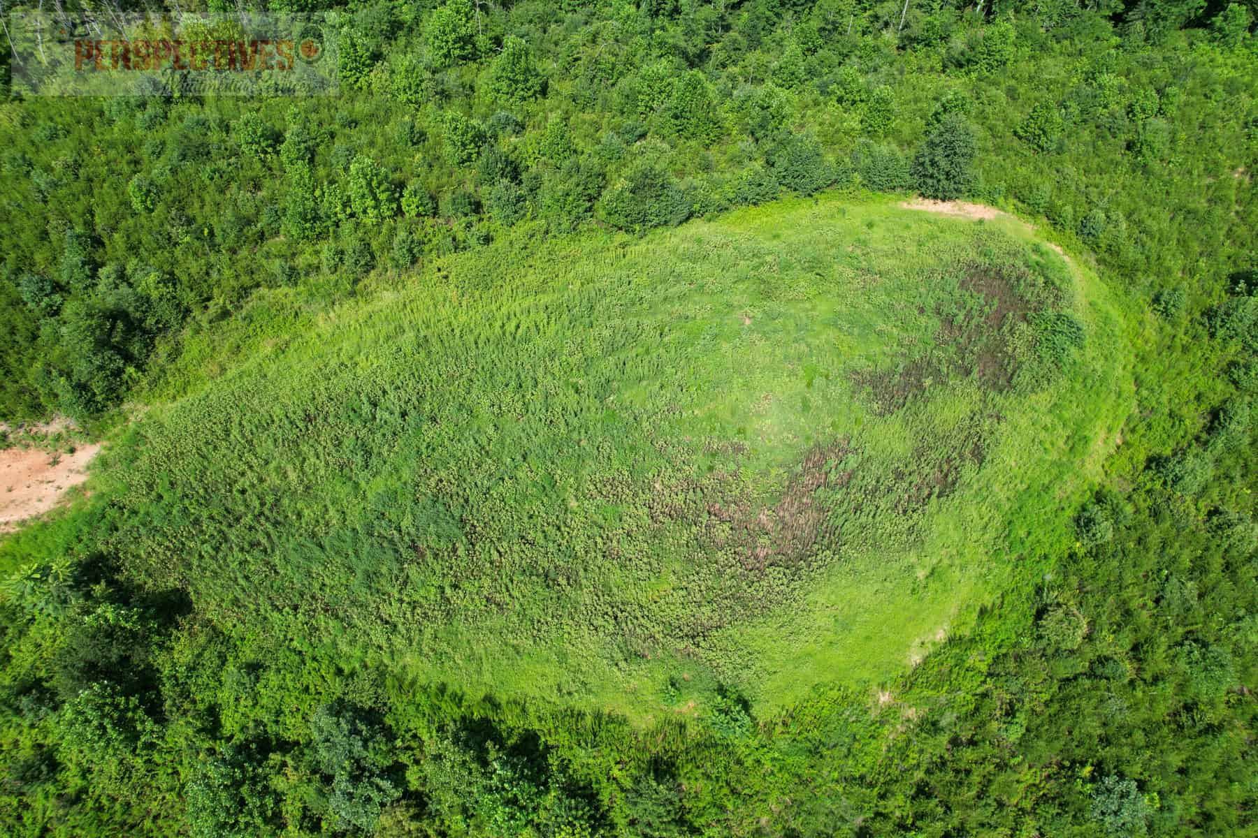 A green hill surrounded by trees.