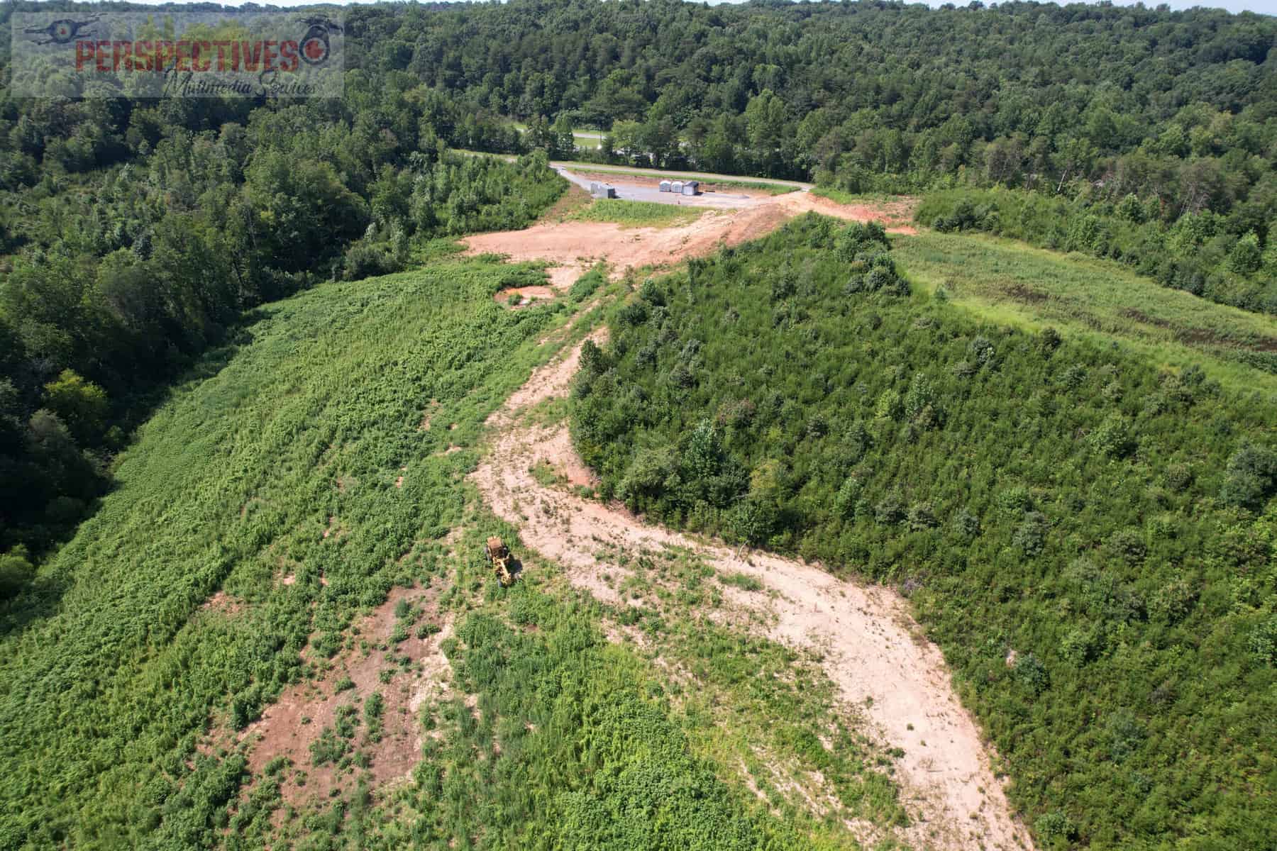 A dirt road in a forest.